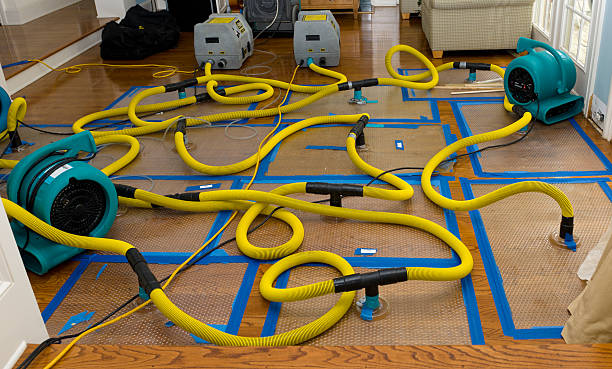 Professional Crawl Space Water Removal technician working in Buffalo, MN